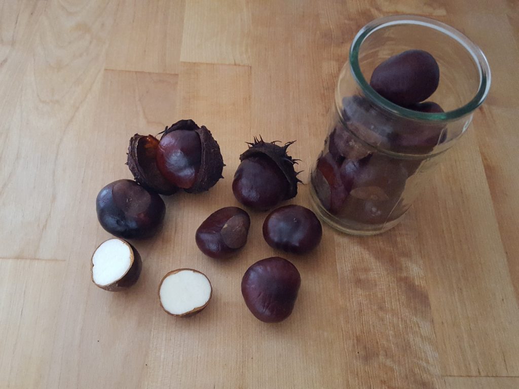 Waschmittel Aus Kastanien Herstellen VCP Blog