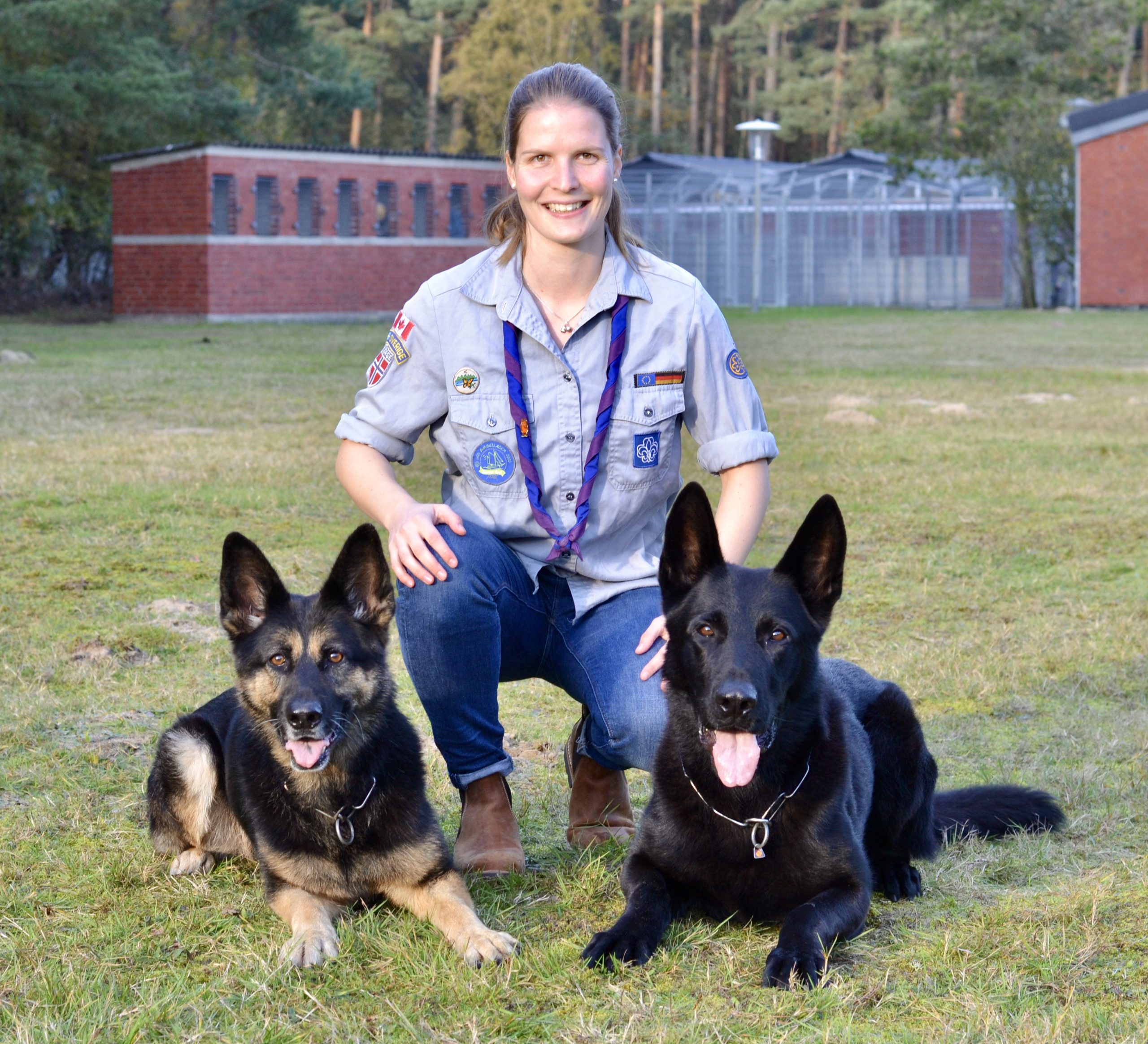 kartoffelpüree hunde