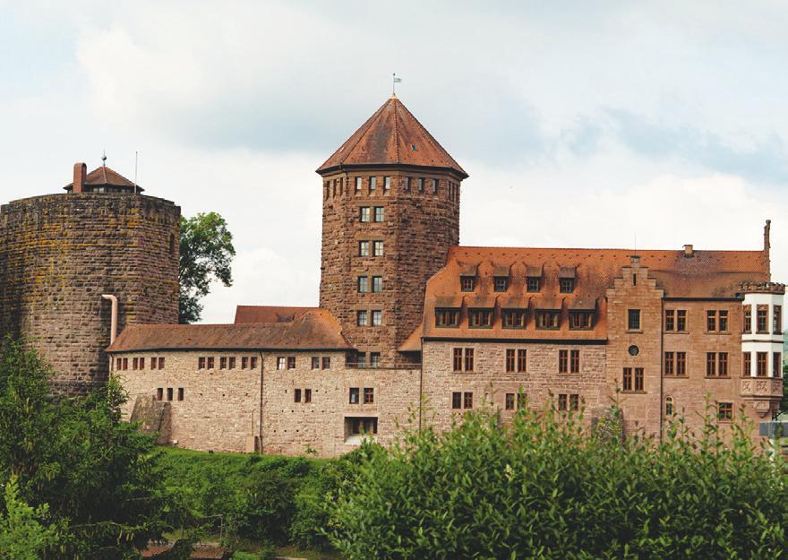 Panorama Burg Rieneck