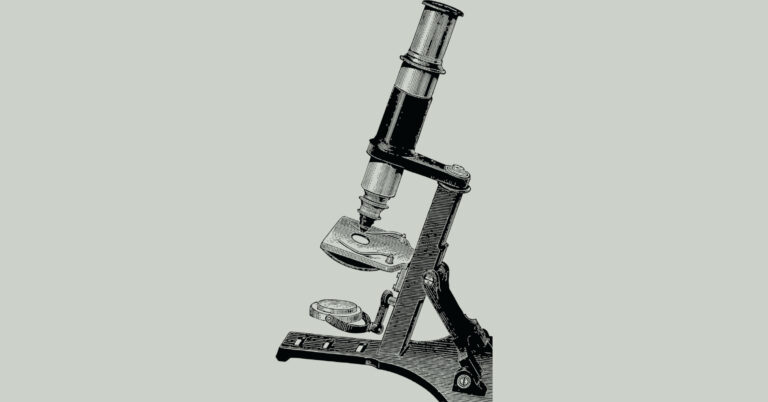 Mikroskop Beitragsbild